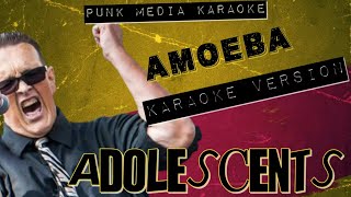 Adolescents  Amoeba Karaoke Version Instrumental  PMK [upl. by Lynch]