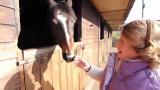 Pakefield Riding School  Behind the Scenes [upl. by Nauj]