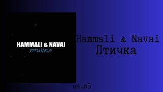 Hammali amp Navai  Птичка текстlyrics [upl. by Rossuck]