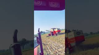 Kheti new punjabi song farming famerlife jattlife famers shorts youtubeshorts youtube nature [upl. by Tolmach519]