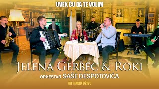 Jelena Gerbec  Uvek cu da te volim orkestar Sase Despotovica [upl. by Letsyrc848]