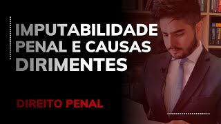 DIREITO PENAL  IMPUTABILIDADE PENAL E CAUSAS DIRIMENTES [upl. by Collete]