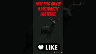 COTW 300 AR vs Melanistic Whitetail thehuntercallofthewild gaming cotw ps4 ps5 callofthewild [upl. by Patt]