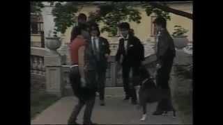 Neda Ukraden  Saj rode saj  Official Video 1986 [upl. by Kristy]