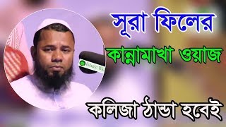 Bangla Waz 2017 Maulana Sharifuzzaman Rajibpuri New Bangla Islamic Waz 2017 [upl. by Azirb]