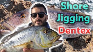 Συναγριδα με Shore Jigging Shore Jigging Dentex Catch [upl. by Knutson]