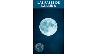 ¿Cuál es la primera fase de la Luna en su ciclo lunar [upl. by Austine396]