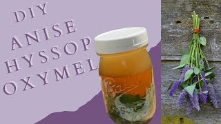 DIY Anise Hyssop Oxymel  How to Make an Oxymel  DIY Hyssop Oxymel  Beginner Herbalism [upl. by Ecnerewal]