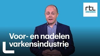 Nederland heeft een gigantische varkensvleesindustrie Wat zijn de voor en nadelen  RTL NIEUWS [upl. by Hewett]