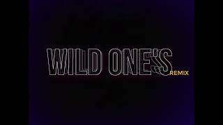 Kng Ego  Wild Ones quotremixquot [upl. by Noby]