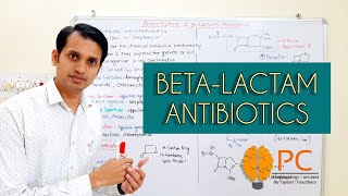 Antibiotics Basic Introduction and Classifications  BetaLactam Antibiotics and their Chemistry [upl. by Adelheid799]