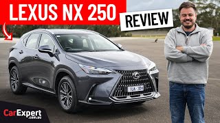 2024 Lexus NX inc 0100 braking amp autonomy review [upl. by Helenka]