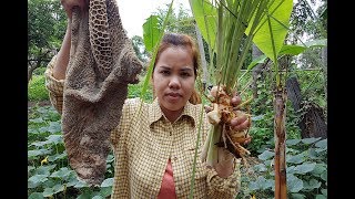 Easy Cooking Cow Intestine With Vegetable How to cook Cow intestine Village Food Factory Soup BBQ [upl. by Stockton]