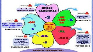 Pluriel des noms composés  CM1 [upl. by Raouf]