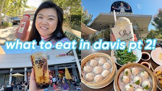 what to eat in davis part 2 🍦🍎🧋 day 2 vlog [upl. by Foscalina788]