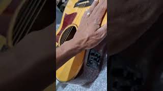 My Acoustic Guitar Got the Royal Treatment  Luthier Visit [upl. by Assennev]