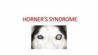 Horners Syndrome [upl. by Joice]