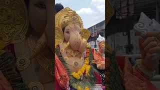 Ganpati visrjan nanded 2024 ganeshchaturti ganpatibappa trending vlognandednandedcity ganpati [upl. by Claiborn]