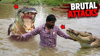 The Most BRUTAL Crocodile Attacks MARATHON [upl. by Matthias]