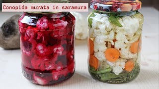 Conopida murata in saramura 1 singura reteta 2 variante alb si roz  🥣 Lecturi si Arome [upl. by Ciredec]