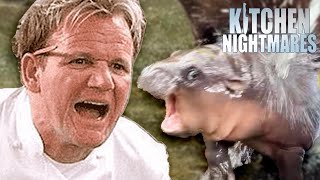 gordon amp moo deng screamo duet when  Kitchen Nightmares  Gordon Ramsay [upl. by Zetnom]