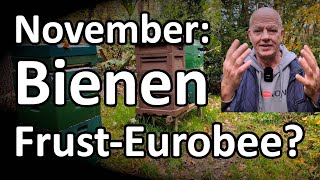 November Bienen und Frust auf Eurobee  was ist zu tun NaturRundgang [upl. by Laird]