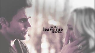 stefan  caroline throw me in a landfill [upl. by Colner970]