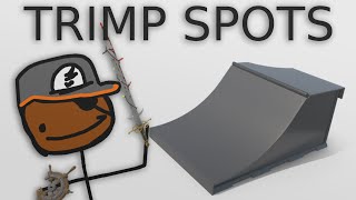 TF2  Trimp Spots With Brick [upl. by Adnesor]