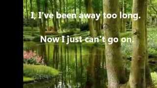 Ive Been Away Too Long  George Baker  lyrics [upl. by Kitarp]