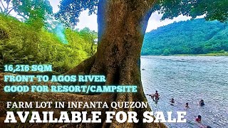 vlog184 FARM LOT FOR SALE IN PHILIPPINES  16216 SQM FARM LAND  250 PESOS PER SQM [upl. by Fabien]