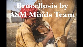 brucellosis infectious diseases 2 by ASM Minds [upl. by Ereynihc512]