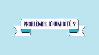 Comment traiter lhumidité des murs  LASSECHEUR une solution simple efficace et innovante [upl. by Nas]