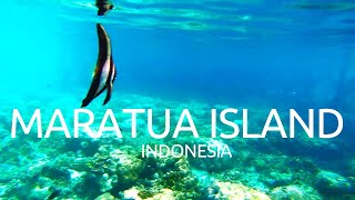 Snorkeling Pulau Maratua Kalimantan Timur Indonesia [upl. by Veradis]