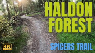 Spicers Trail at Haldon Forest Park [upl. by Otrevlig948]