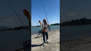 Fishing time fishing fish fishinglife shorts short shortfishing youtubeshorts shortsvideo [upl. by Carlita]