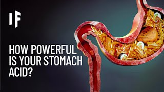 What If Your Stomach Acid Disappeared [upl. by Laurette]