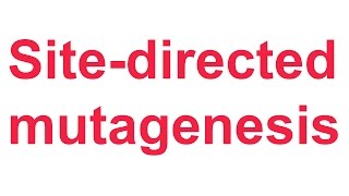 Tutorial 4 QuikChange sitedirected mutagenesis Stratagene [upl. by Anaya]