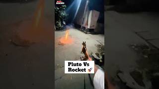 pluto Ki Traf Se Happy Diwali 🚀  minivlog diwali doglover [upl. by Denby392]