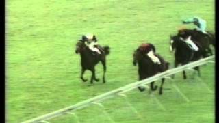 1971 Champion Stakes [upl. by Latoyia929]