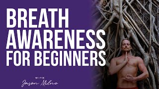 Breath Awareness for Beginners  Breath Awareness Meditation [upl. by Gian]