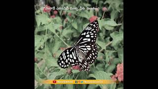 Mounamgane Edagamani Whatsapp Status Telugumotivationalvideos Shorts Trending NenuSaitham [upl. by Domeniga]