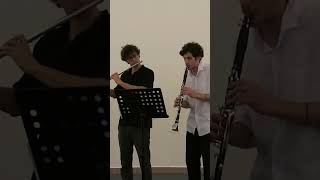 Mozart Rondo Alla Turca fast part shorts music classicalmusic flute clarinet crazy violin [upl. by Hughie20]