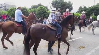 Cabalgata Horse Parade at the Feria de las Flores Flower Festival in Medellin Colombia [upl. by Ettecul]