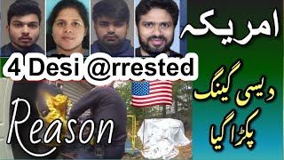 USA 4 Desi Pakray gye  See the reason [upl. by Akemahc]