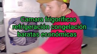 Cámara frigoríficas refrigeracion baratas congelación como ahorrar el 30 [upl. by Utham]