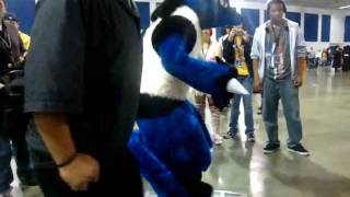 FanimeCon 2010  Lucario playing DDR [upl. by Nomsed397]