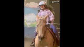 my hair  horse pony cute equestrian pretty capcut trending viral shorts fyp riding [upl. by Nipahc]