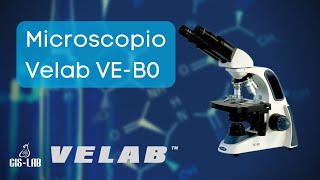 Microscopio práctico para clínicas  Velab VEB0  CisLab [upl. by Sine]