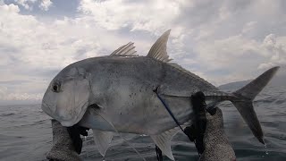 SPEARFISHING PHILIPPINES  GIANT TREVALLY  BATANG SPEARO [upl. by Dorsman22]