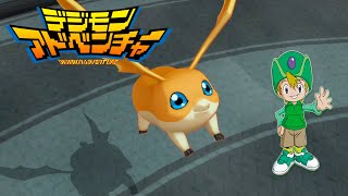 Patamon Digimon Adventure All Digivolutions  Digimon Story Cyber Sleuth Hackers Memory [upl. by Aniral]